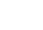 WHTESKULLLOGO